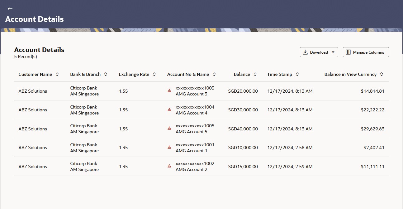 Description of balance-currency-account-details.jpg follows Description of balance-currency-account-details.jpg follows