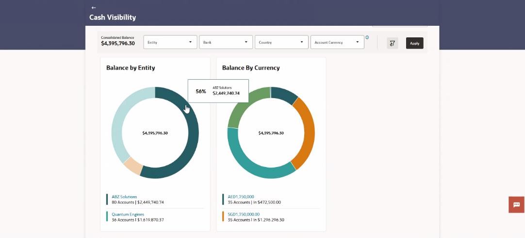 Description of balance-entity.jpg follows Description of balance-entity.jpg follows