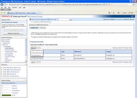 The image shows the Summary of JDBC Data Sources - New Data Source Screen. It displays several fields to specify the Summary of JDBC Data Sources - New Data Source.