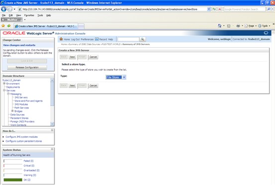 The image shows the Create a New JMS Server - File Store Properties Screen. It displays several fields to specify the Create a New JMS Server - File Store Properties.