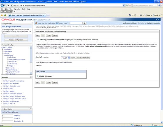 The image shows the JMS Screen. It displays several fields to specify the JMS.