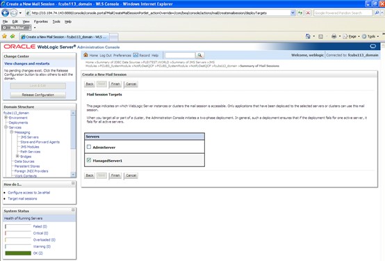 The image shows the Create a New Mail Session - Targets Screen. It displays several fields to specify the Create a New Mail Session - Targets. The image shows the Create a New Mail Session - Targets Screen. It displays several fields to specify the Create a New Mail Session - Targets.
