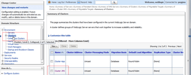 Description of 3.3_cluster-jms.png follows