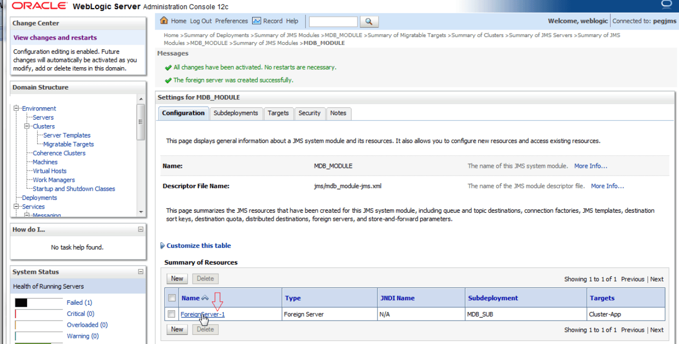 Description of 6.3_s1_foreignserver-1.png follows