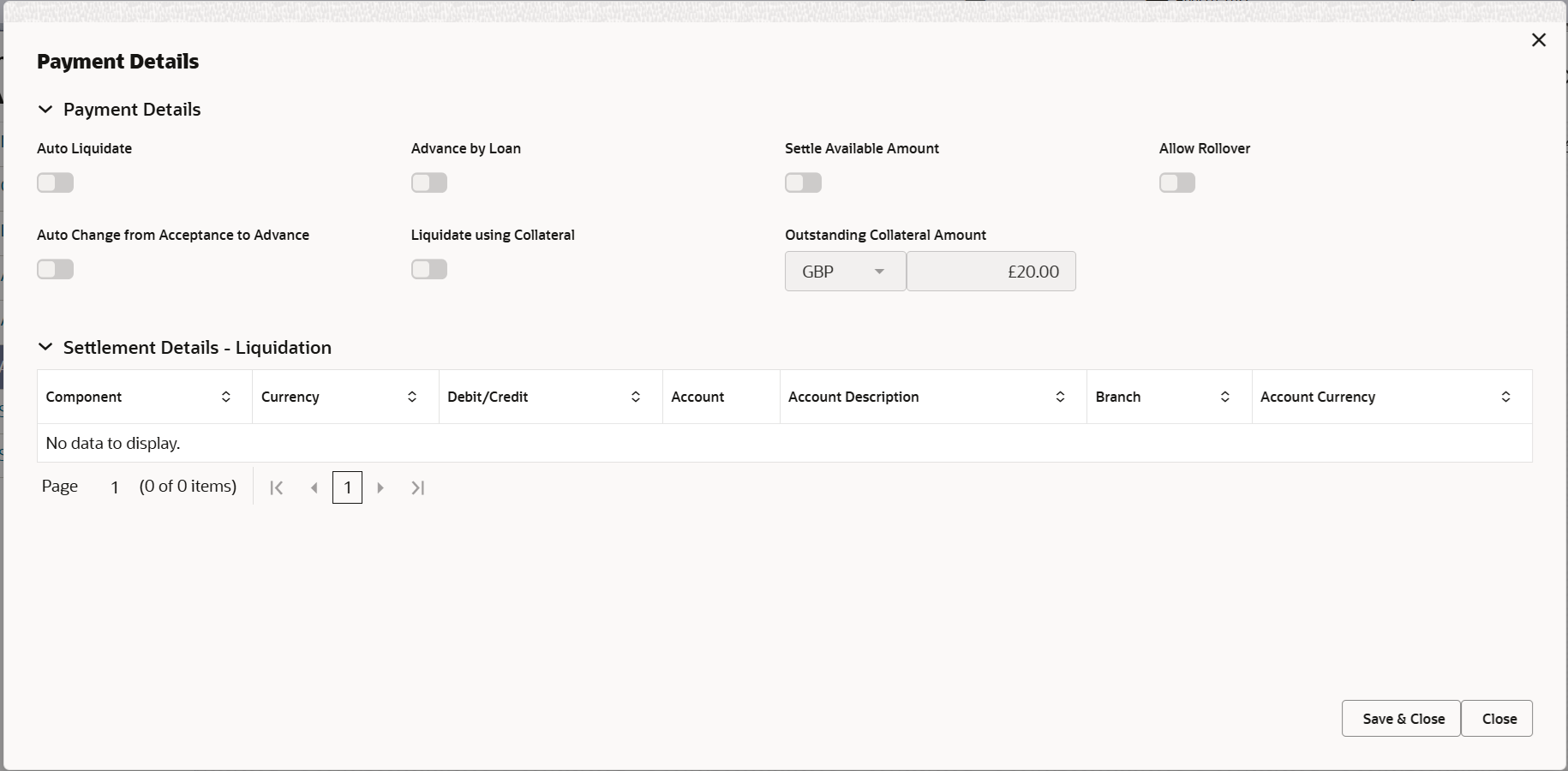 Description of depaymentdetails.png follows