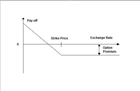 Put Option Put Option
