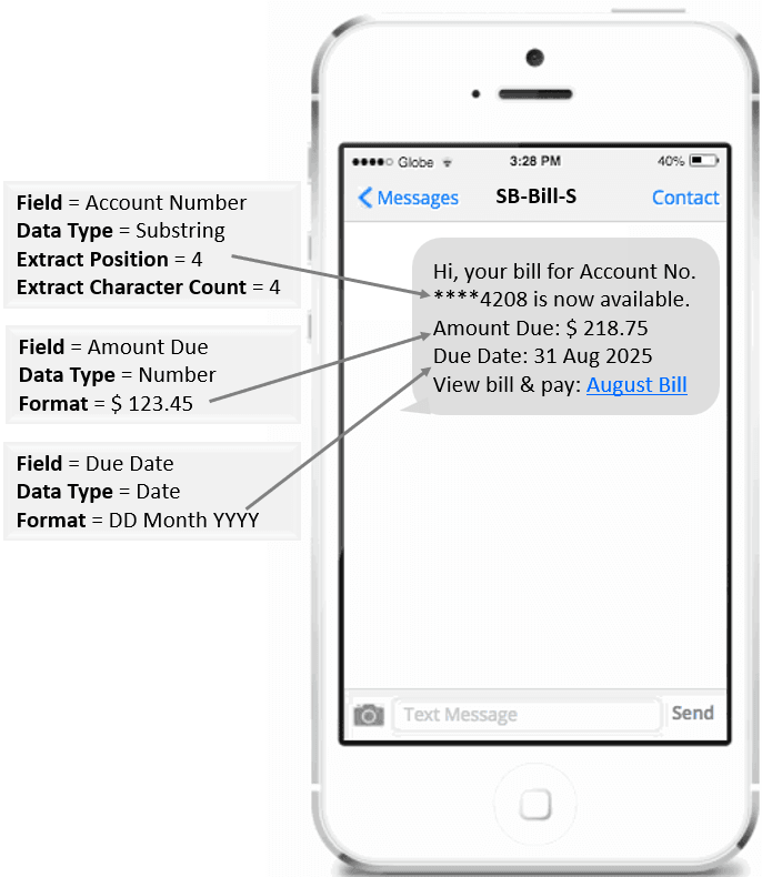 Format SMS Example Format SMS Example