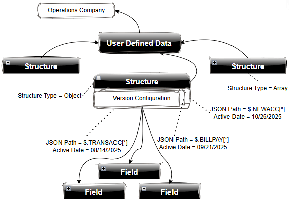 User Defined Data Structure Configuration