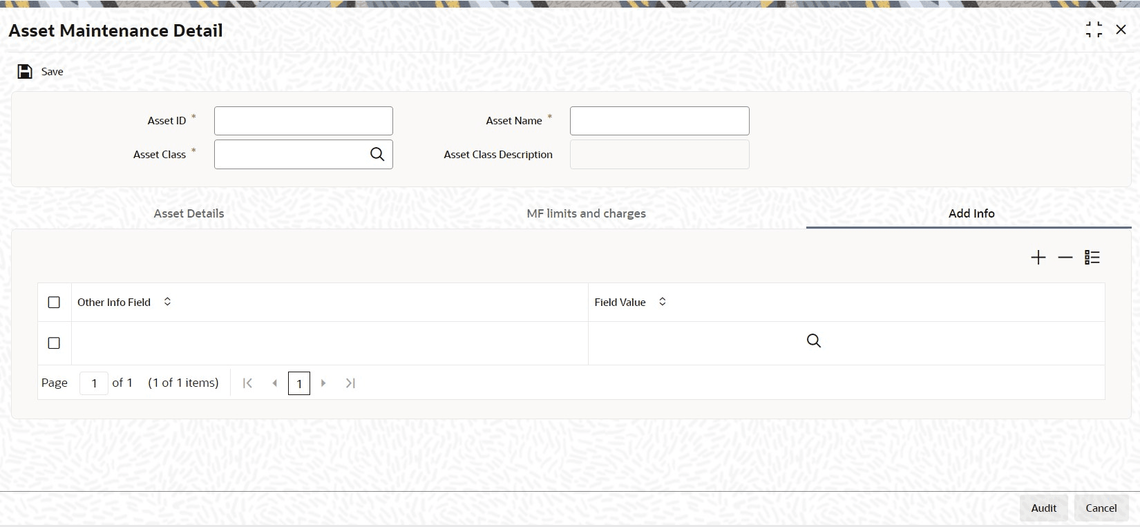 Description of asset-maintenance-detail-add-info.png follows