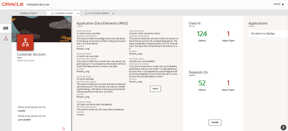 This illustration displays the Application Data Interface to view a list of objects when selected from Data Foundation in the Catalog of Objects tab.