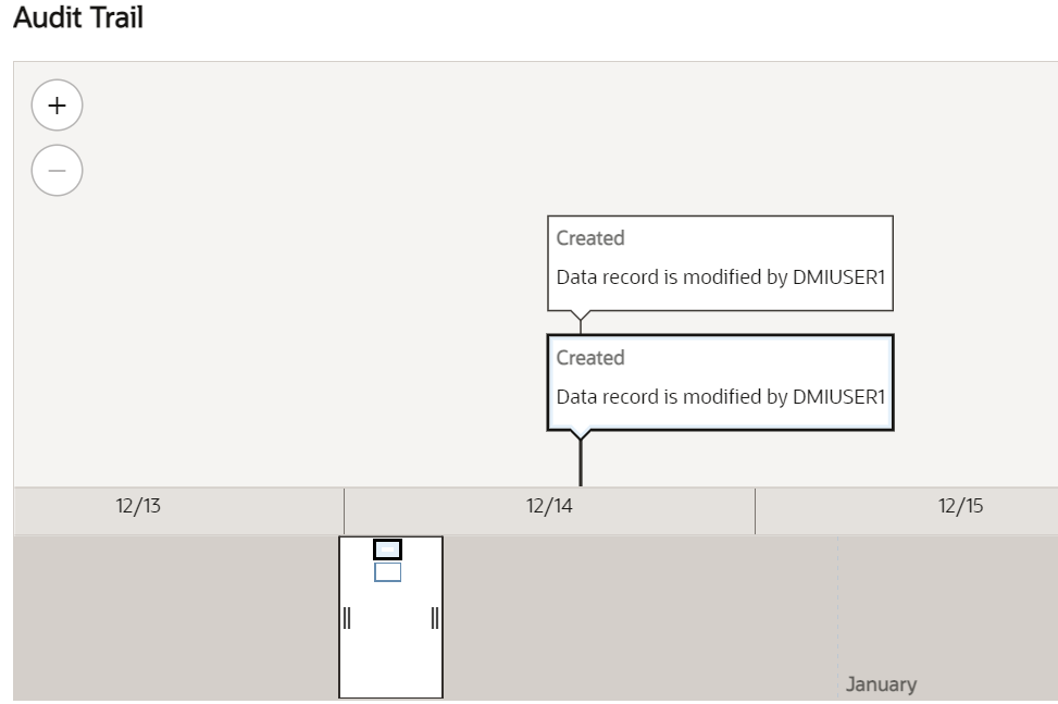 This image displays the Day Wise Audit History.