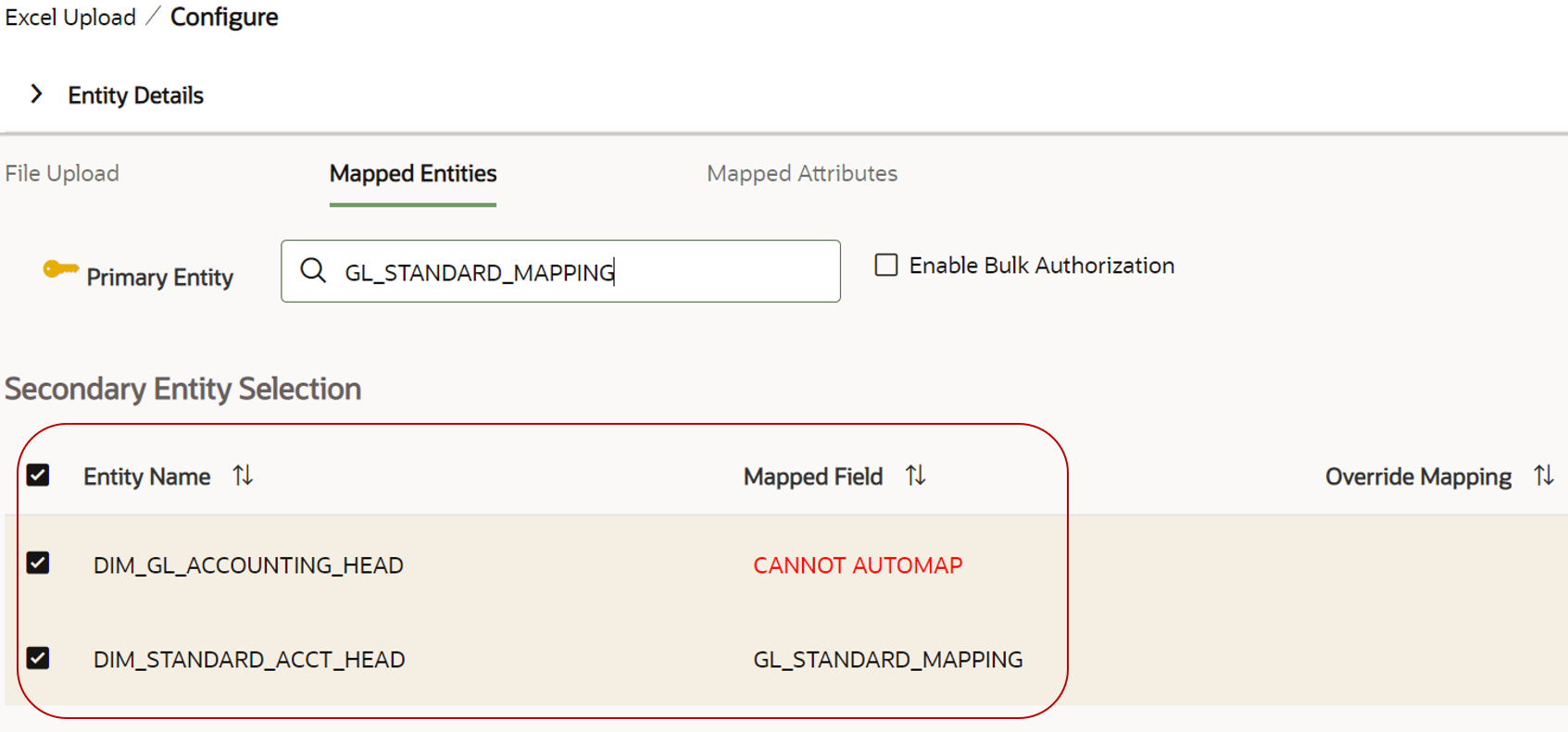 This image displays the Mapped Entities tab.