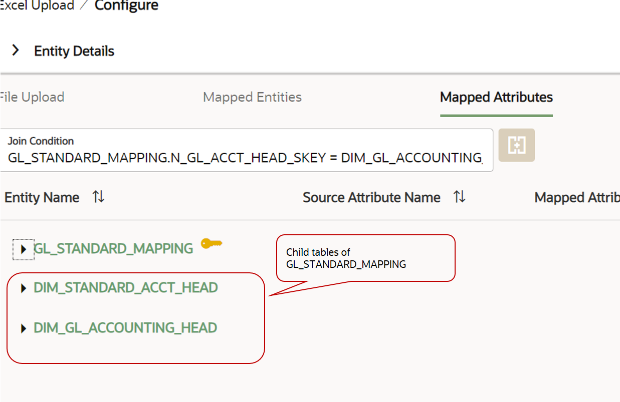 This image displays the Master Child Tables in the Mapped Attributes tab.