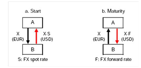 This image displays the FX Swap.