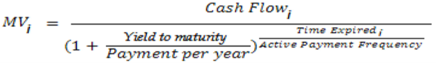 This image displays the MV of the Cash Flow.