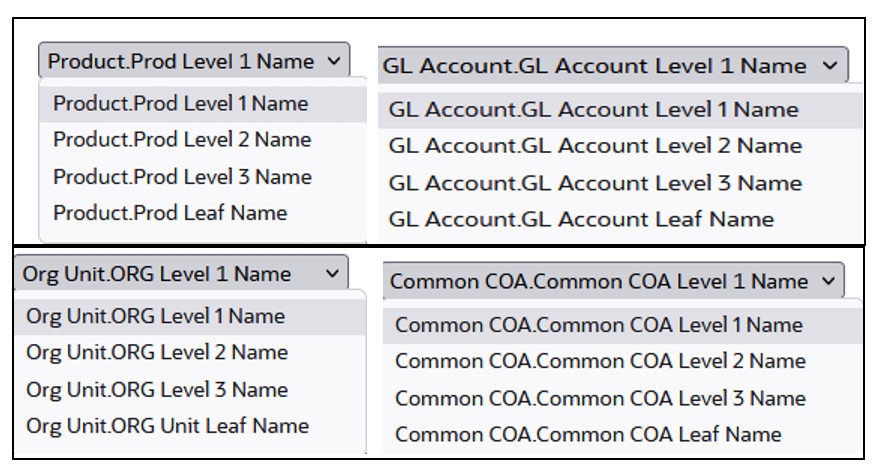 Financial Risk Output key processing dimension hierarchies Financial Risk Output key processing dimension hierarchies