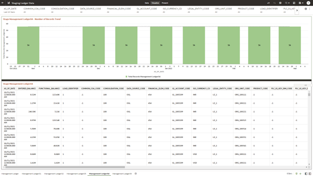 The Management Ledger04 Report provides the analysis capability on the Stage Placeholder Management Ledger 04 table.