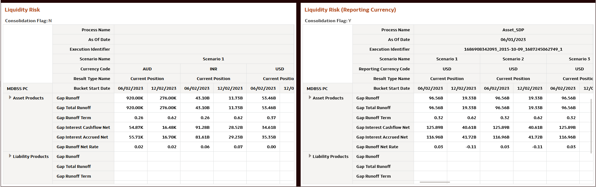 Liquidity Risk MDBSS Report