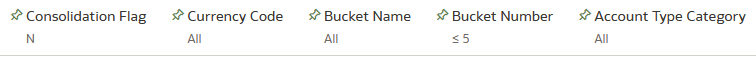 Canvas Prompt Filters for Liquidity Rate Risk Output Process execution data