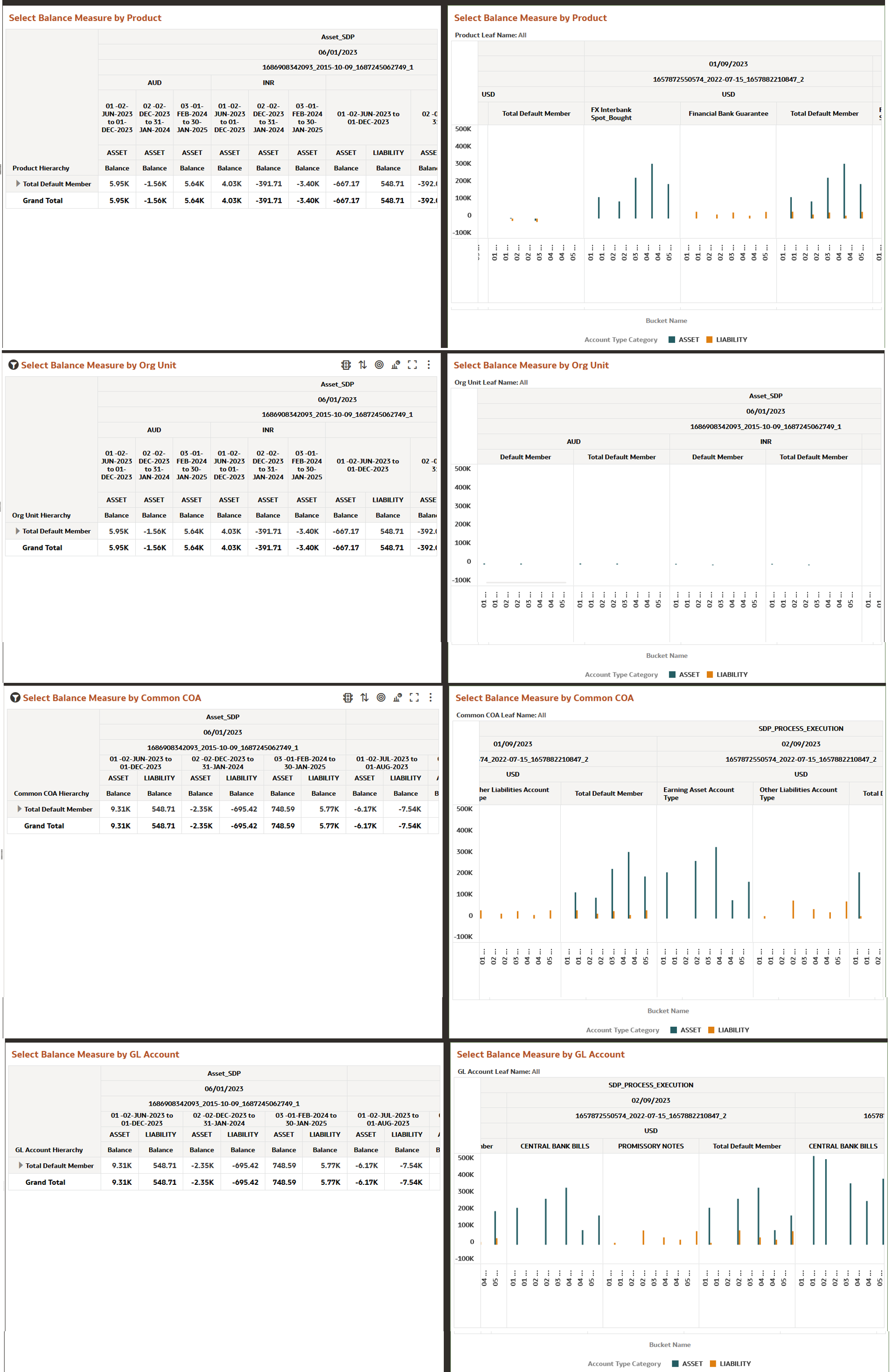 Financial Risk Balance Report Financial Risk Balance Report