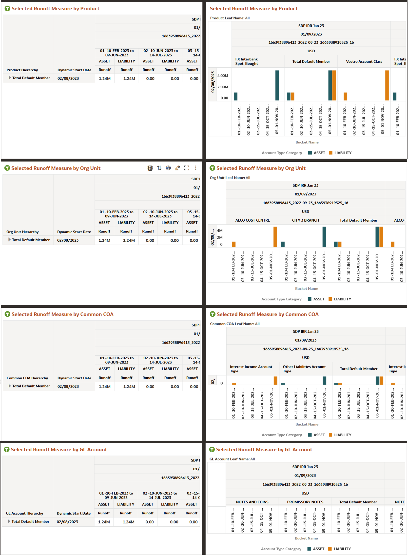 Interest Rate Risk Runoff Report