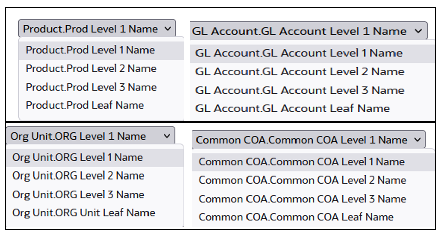 Liquidity Rate Risk Output key processing dimension hierarchies Liquidity Rate Risk Output key processing dimension hierarchies