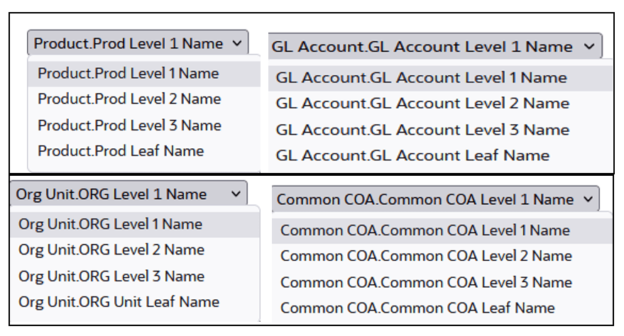 Financial Risk Output key processing dimension hierarchies Financial Risk Output key processing dimension hierarchies