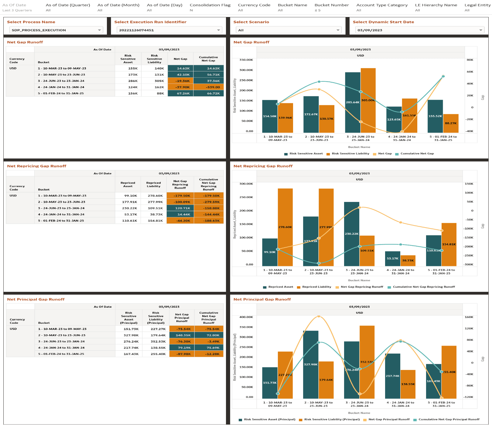 Interest Rate Risk GAP Report