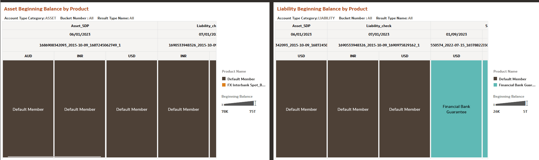 Balance Summary Report