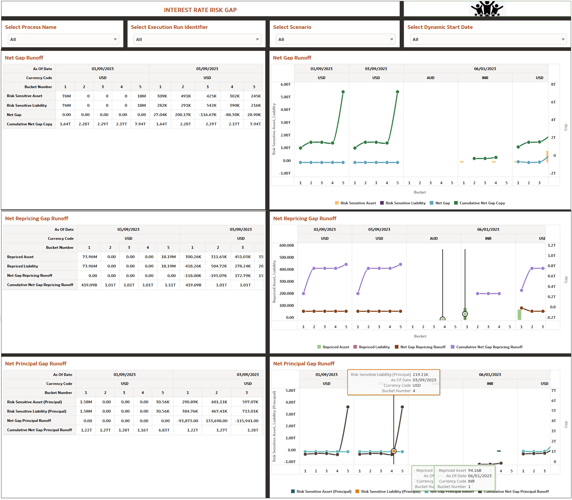 Interest Rate Risk Gap Report