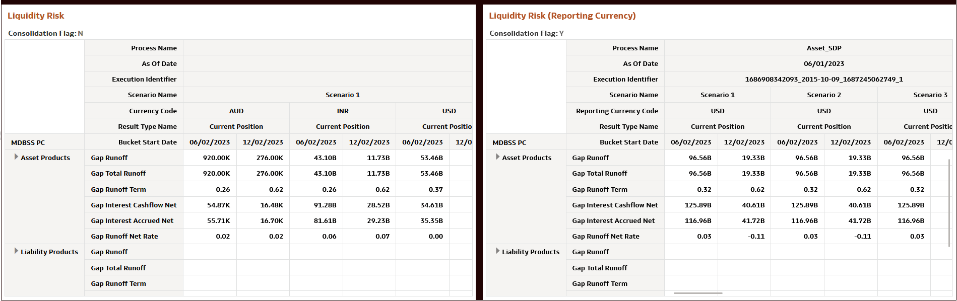 Liquidity Risk MDBSS Report Liquidity Risk MDBSS Report