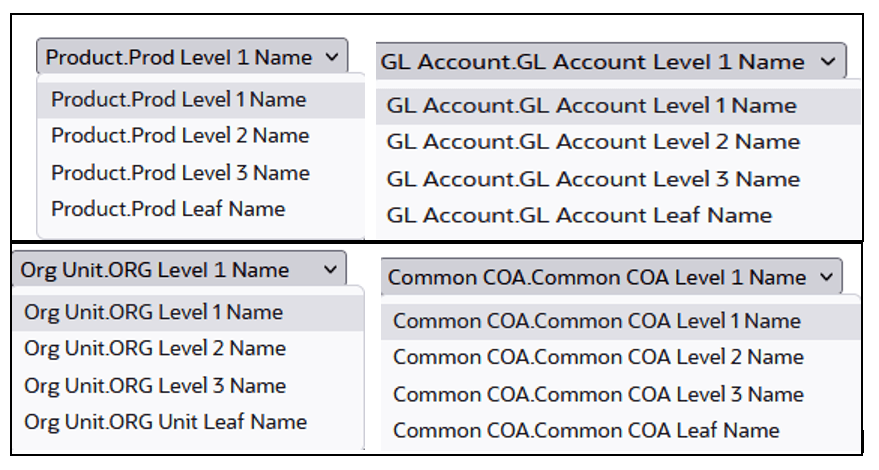 Liquidity Rate Risk Output key processing dimension hierarchies