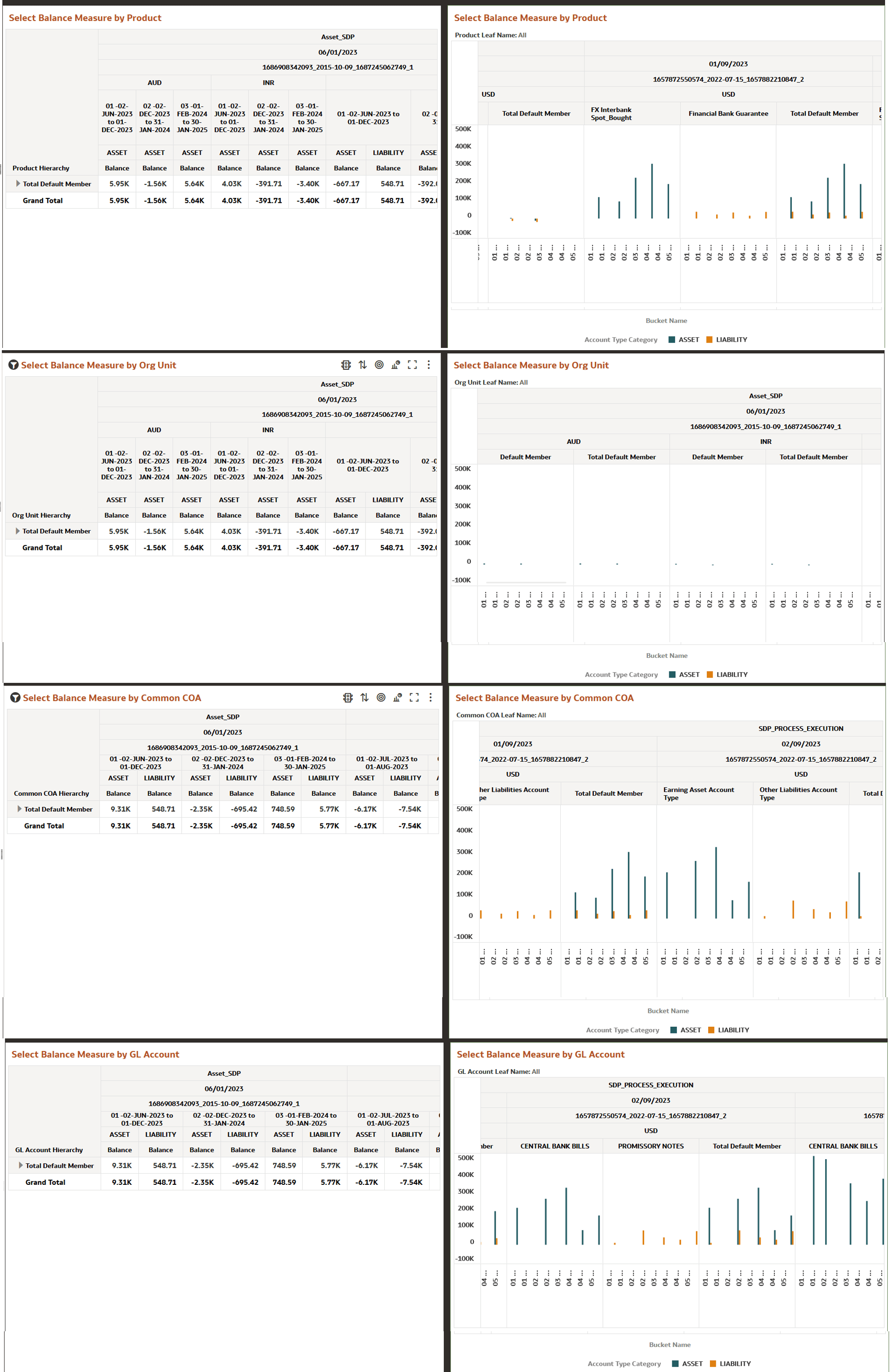 Financial Risk Balance Report