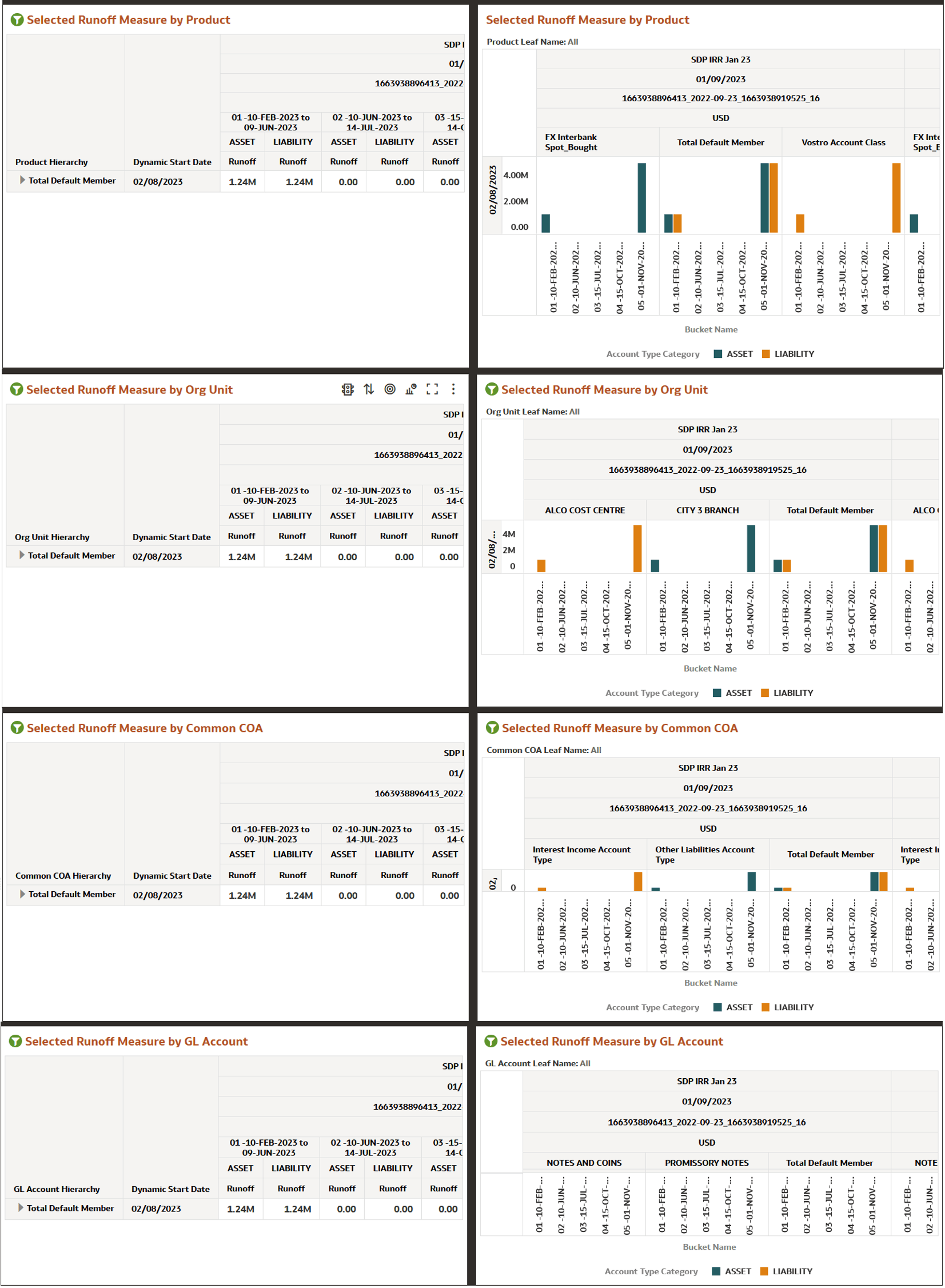 Interest Rate Risk Runoff Report
