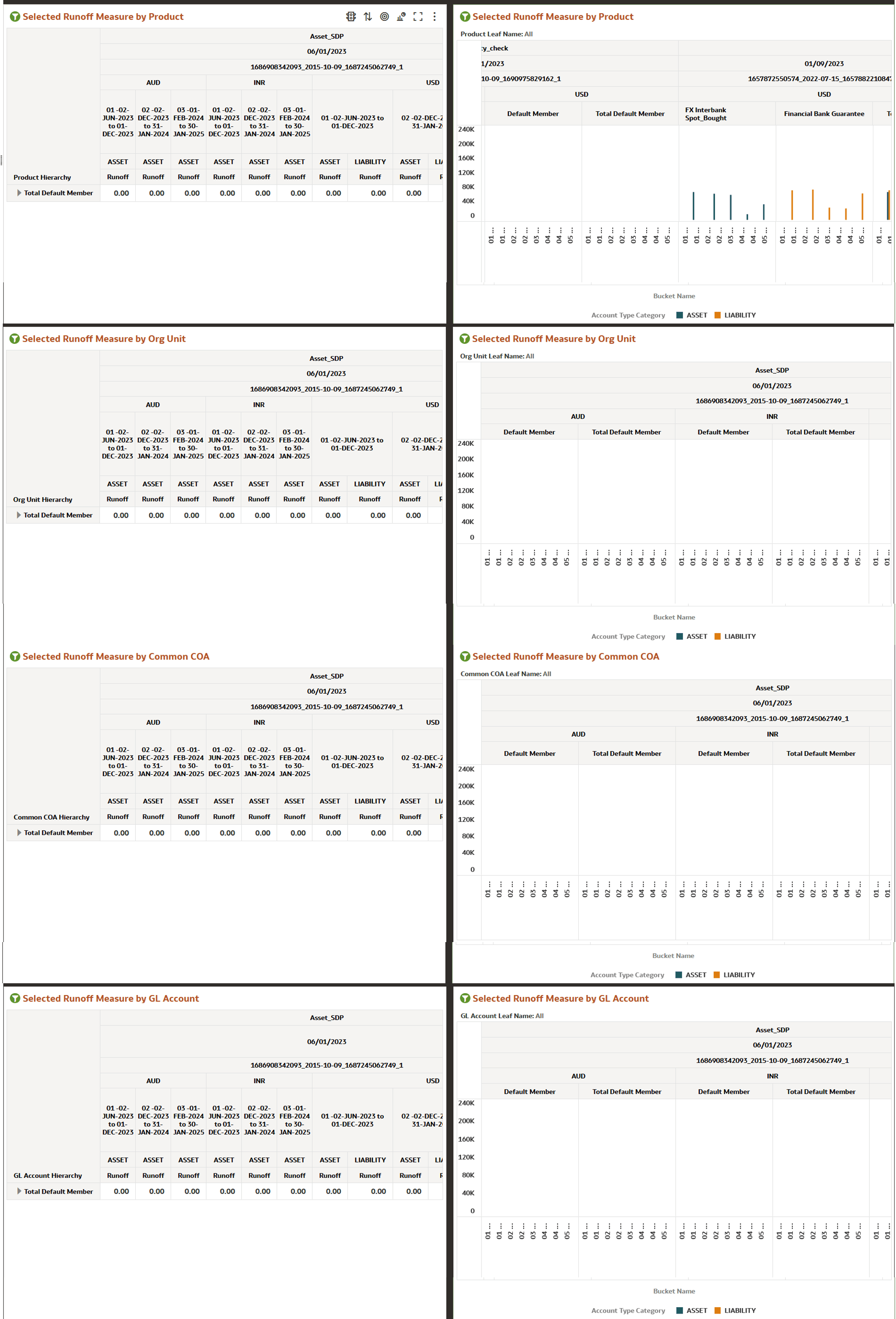 Financial Risk Runoff Report