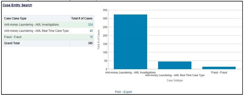 Case Entity Search Report