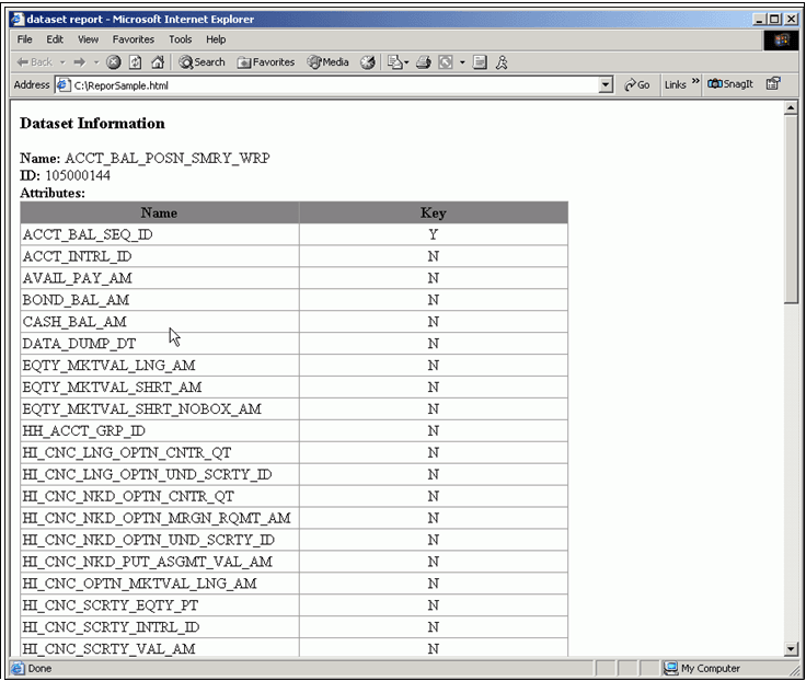 DataSet Report Sample