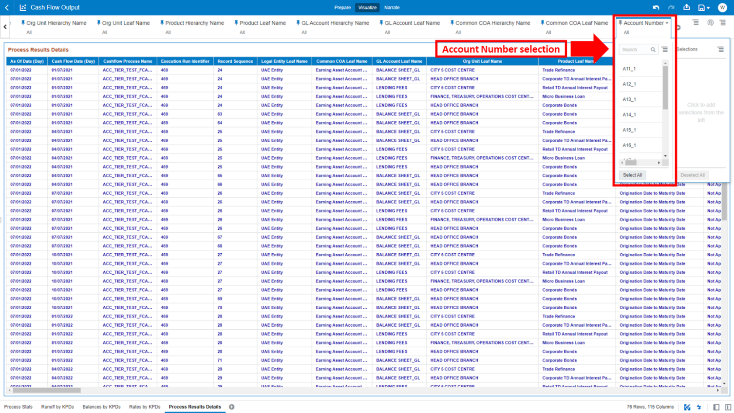 “Process Results Details” Report – Account Number selection