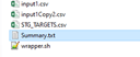 The Generated summary.txt File The Generated summary.txt File