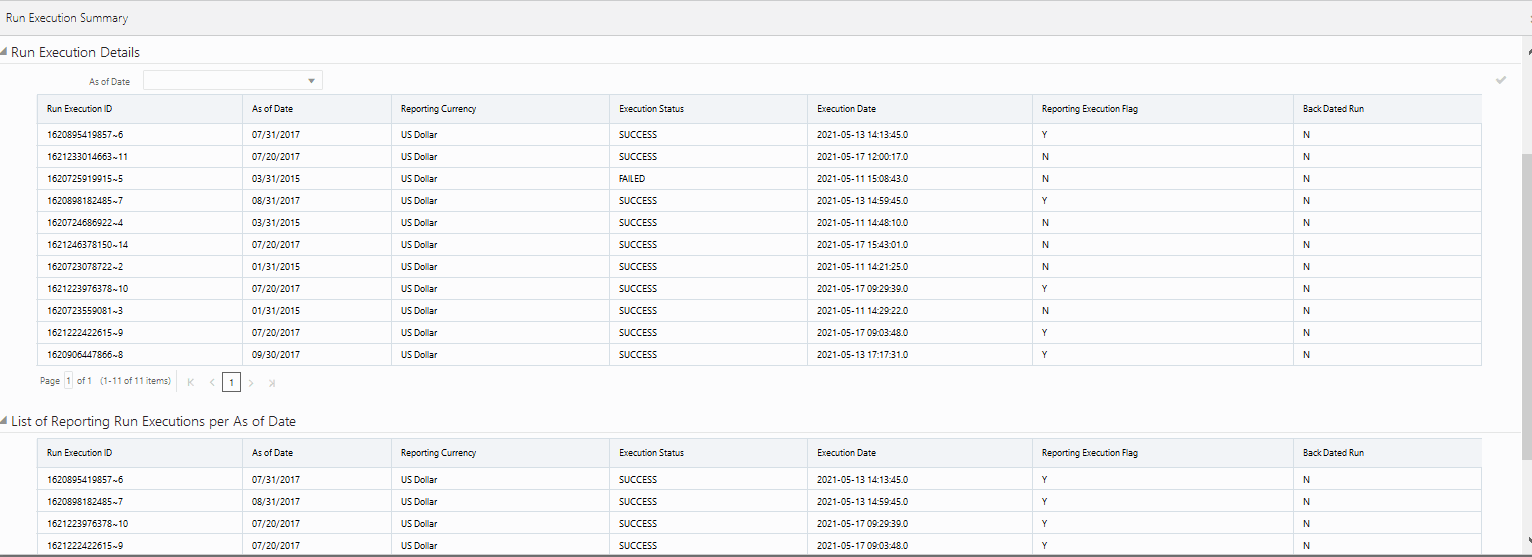 This image displays the Reporting Execution Flag.