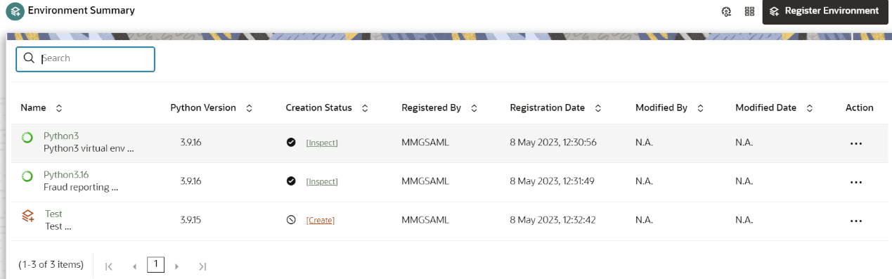 This image displays the Environment Summary page.