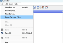 The Director landing page The Director landing page