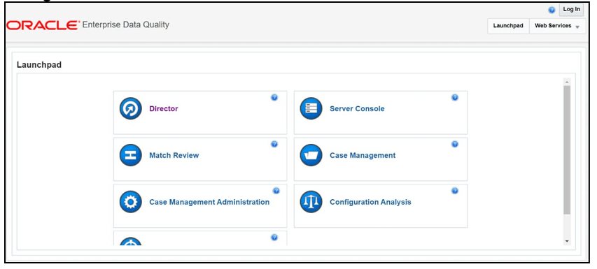 This image displays the Director Menu in EDQ. This image displays the Director Menu in EDQ.