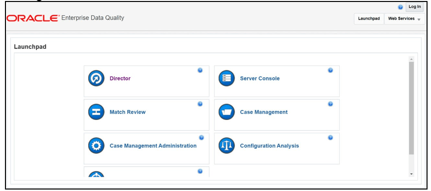 This image displays the Director Menu in EDQ.