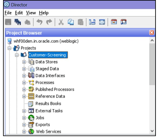 This image displays the Project Browser pane.