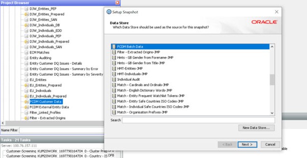 Data Store Window