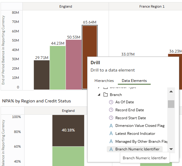 Drill through option Data Elements