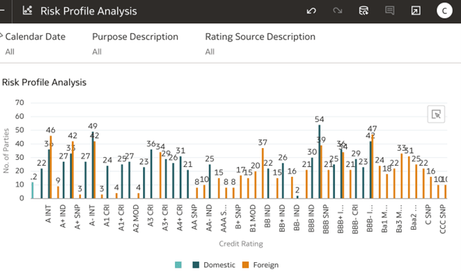 Risk Profile Analysis