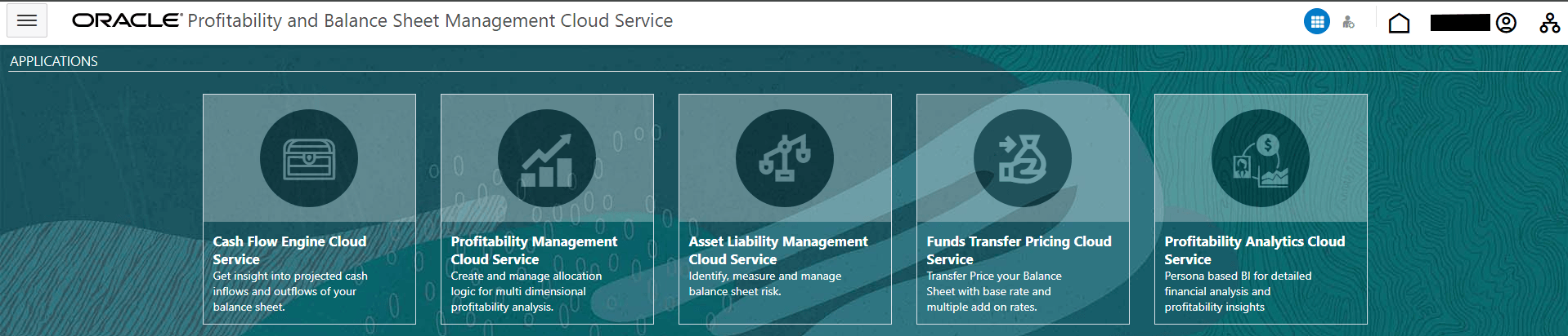 Profitability and Balance Sheet Management Cloud Service Console