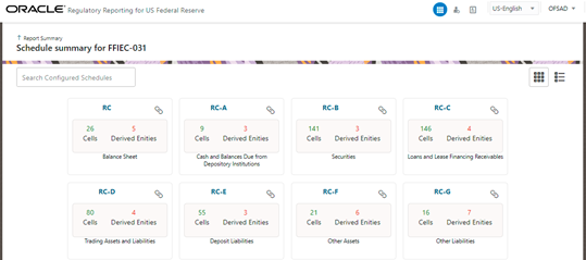 This illustration shows the Schedule Summary for FFIEC-031 page with report details.